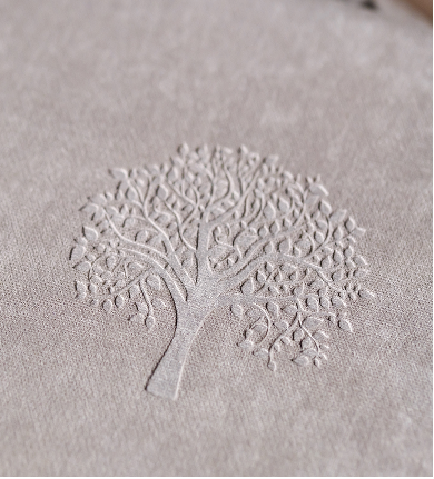 Container-Dec-17-2025-07-43-40-1788-PM